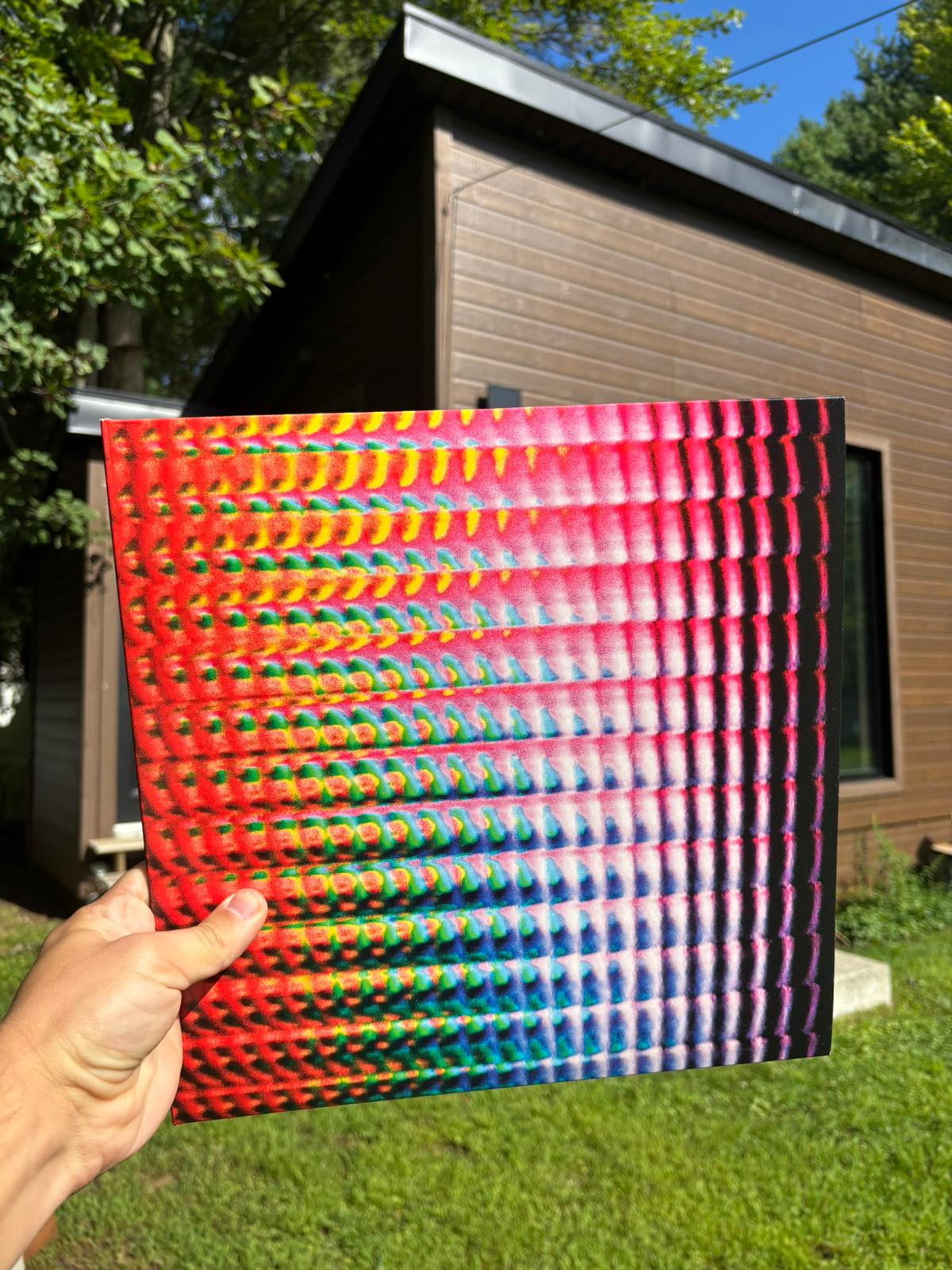 Ascend LP - 180gram Vinyl with Printed Innersleeve